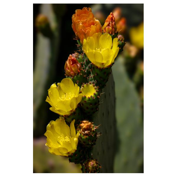 PHOTO84, CLUB, 84 , LUBERON